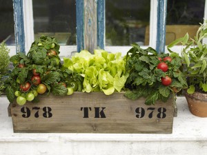 Zöldség erkély