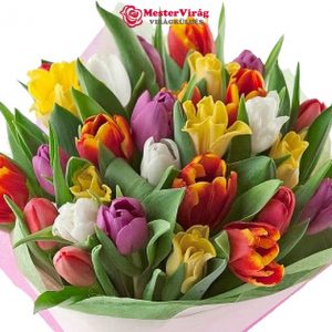 Tulipán virágcsokor